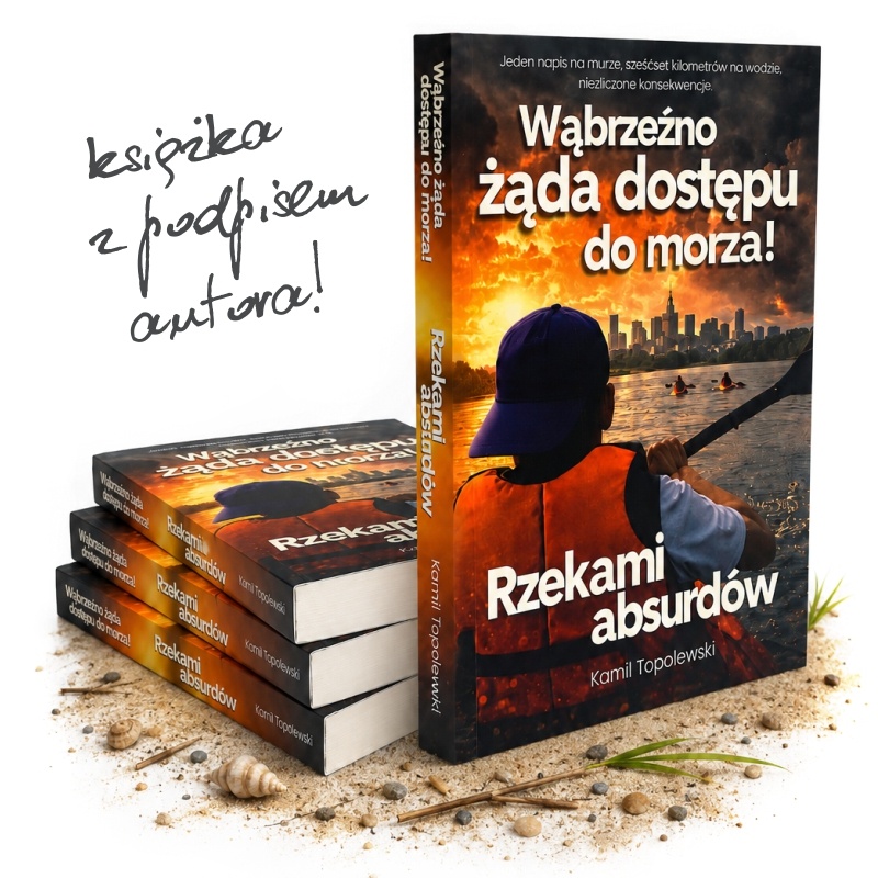 Książka 